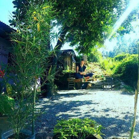 Cozy House Hostel Ella Luaran gambar