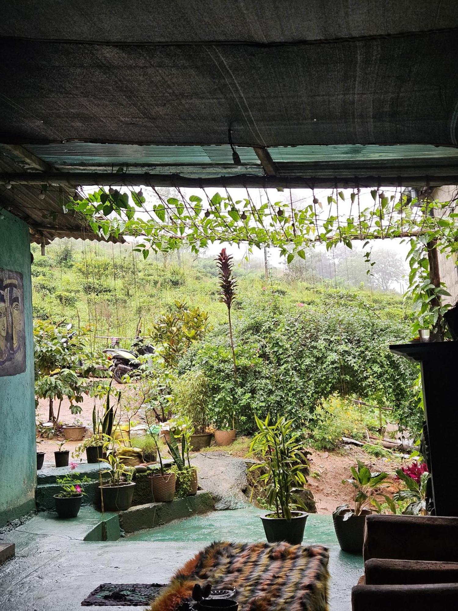 Cozy House Hostel Ella Luaran gambar